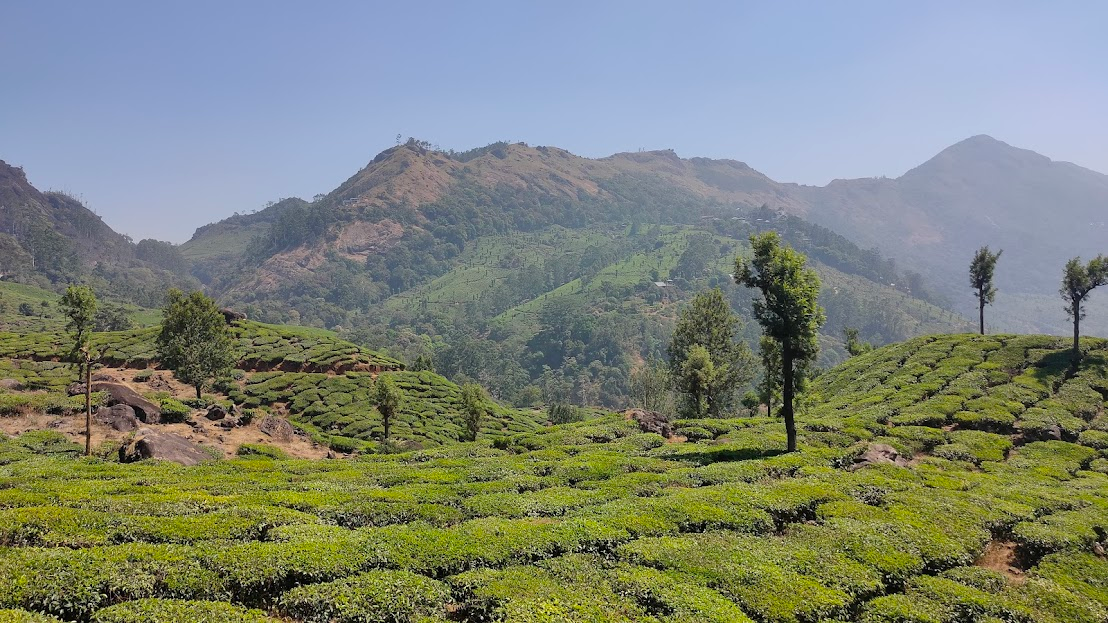 Scenery from Munar Hill Station